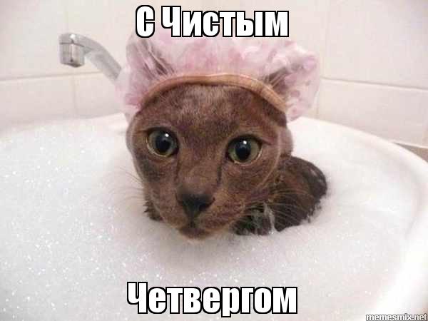 банный день